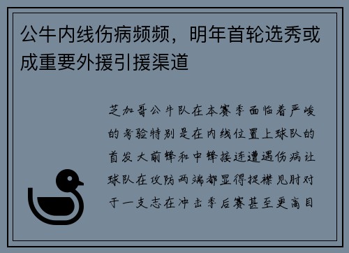 公牛内线伤病频频，明年首轮选秀或成重要外援引援渠道